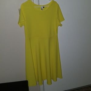 Never before warn dress.